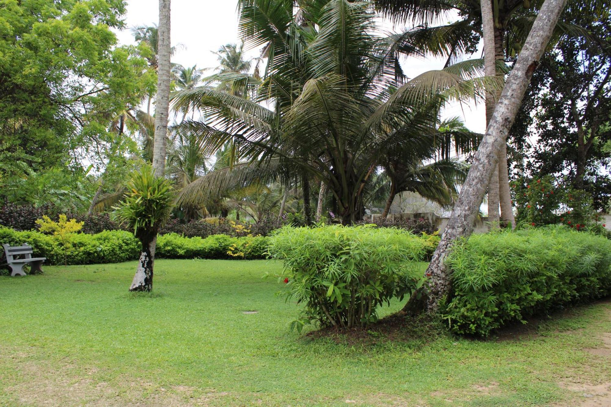 Sun And Surf Rest Hotel Ahangama Exterior foto