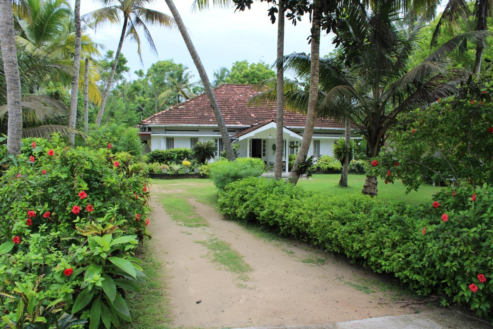 Sun And Surf Rest Hotel Ahangama Exterior foto