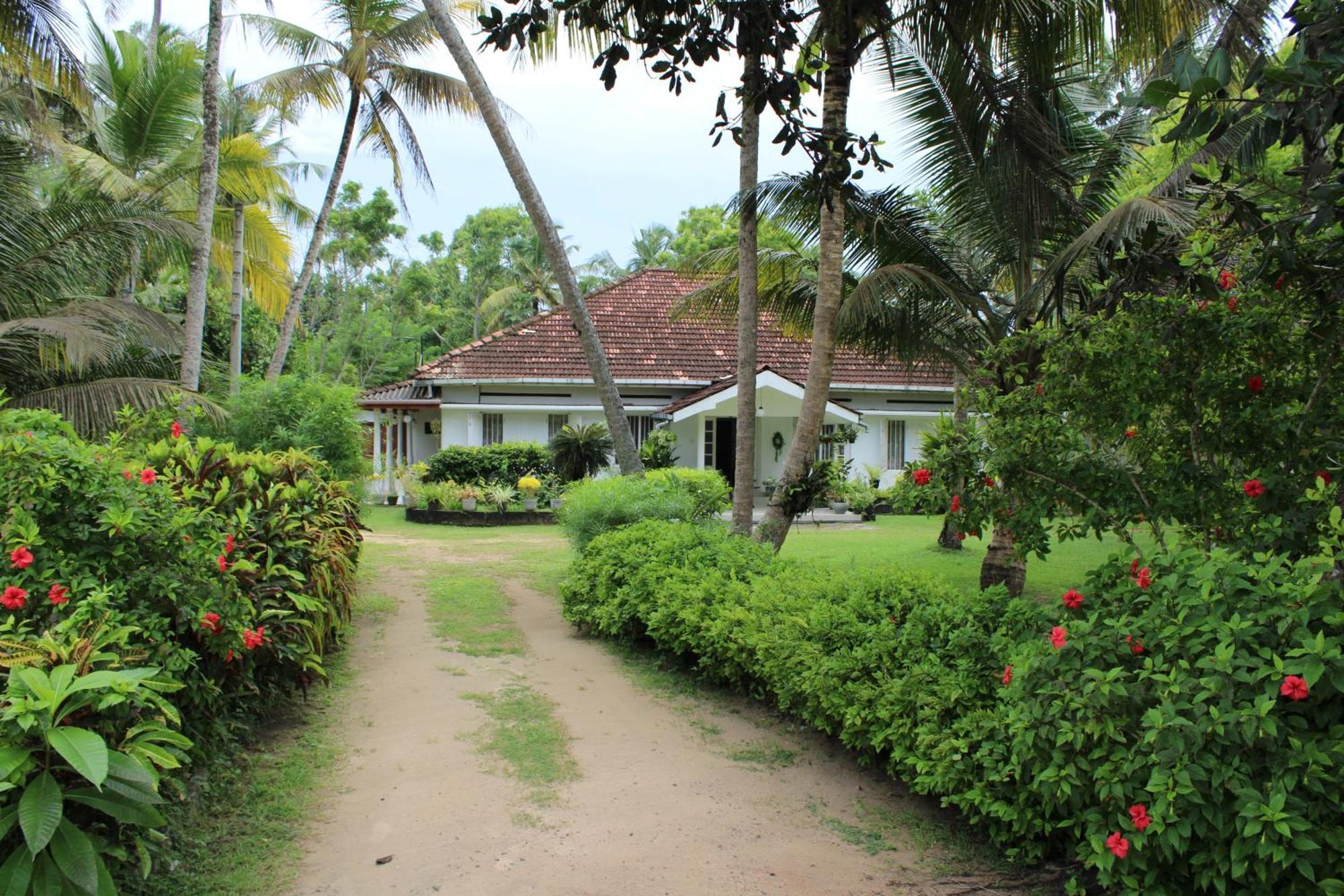 Sun And Surf Rest Hotel Ahangama Exterior foto