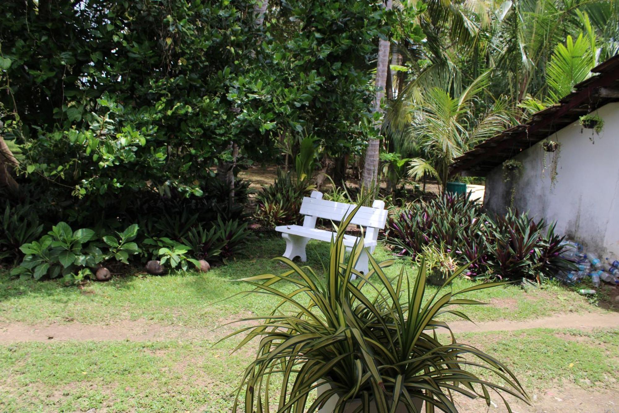 Sun And Surf Rest Hotel Ahangama Exterior foto