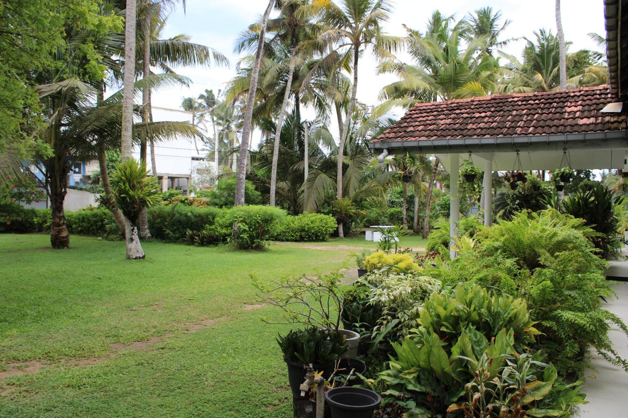 Sun And Surf Rest Hotel Ahangama Exterior foto