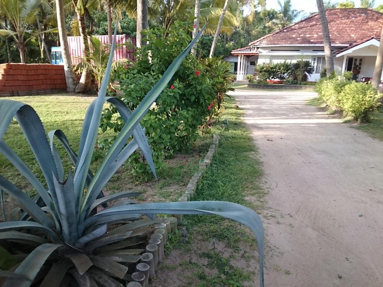 Sun And Surf Rest Hotel Ahangama Exterior foto