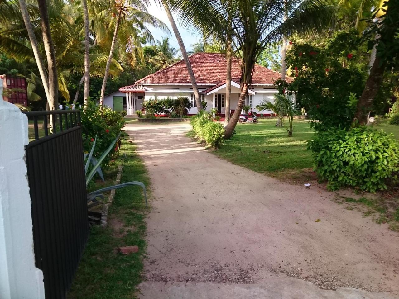 Sun And Surf Rest Hotel Ahangama Exterior foto