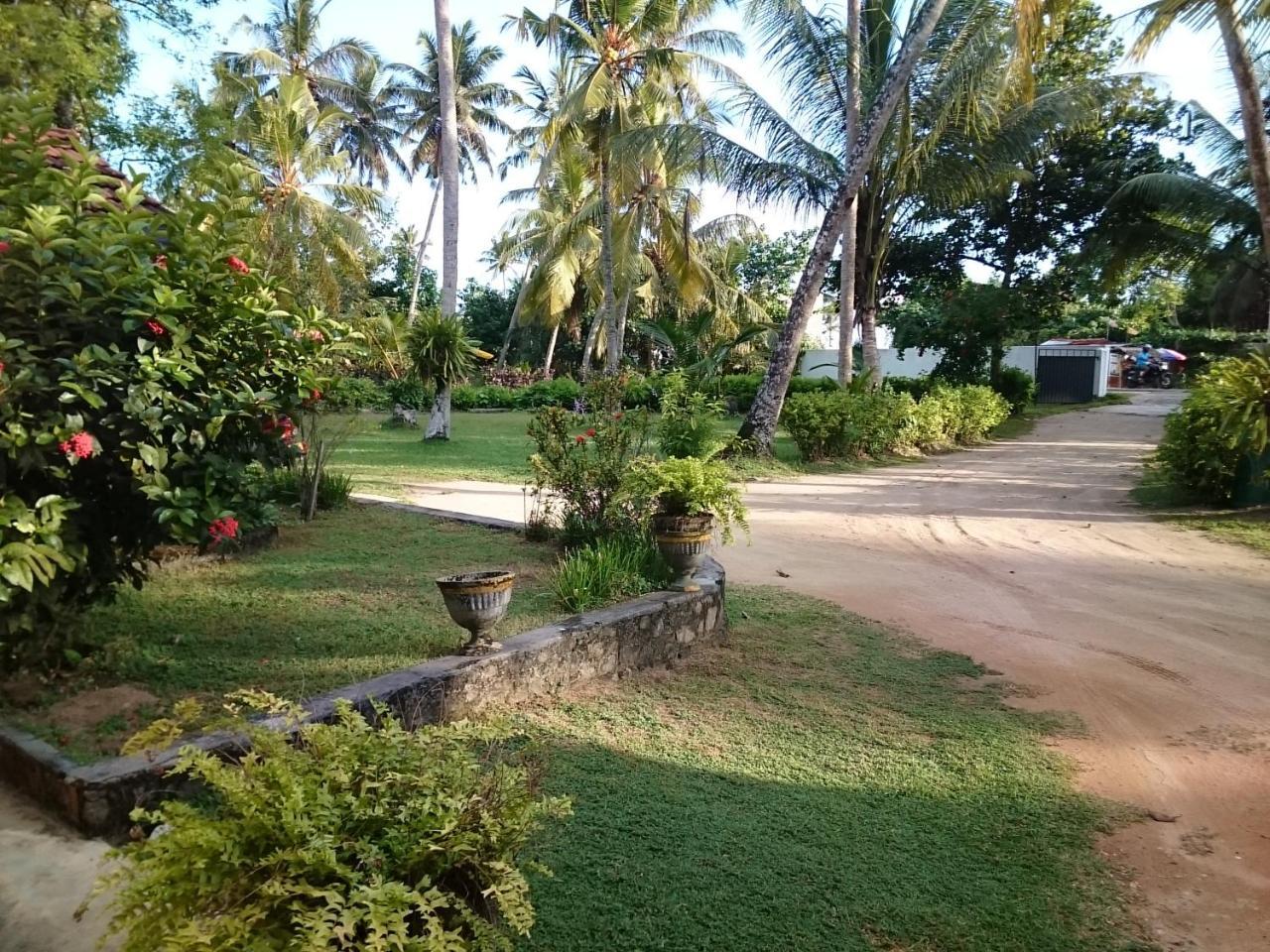 Sun And Surf Rest Hotel Ahangama Exterior foto