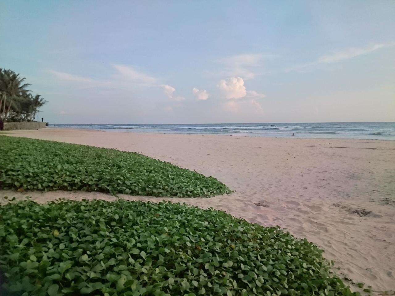 Sun And Surf Rest Hotel Ahangama Exterior foto